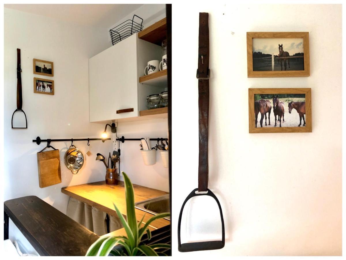 Apartamenty Lajkonik Dąbrówno Eksteriør billede